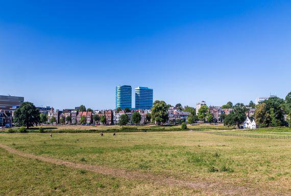 lokale-bestrijder-arnhem