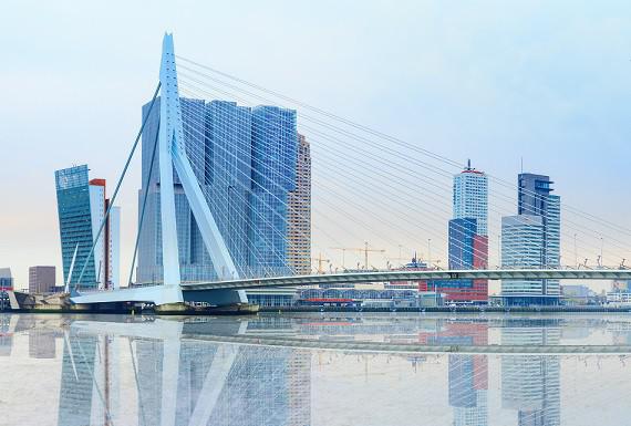 lokale-bestrijder-rotterdam